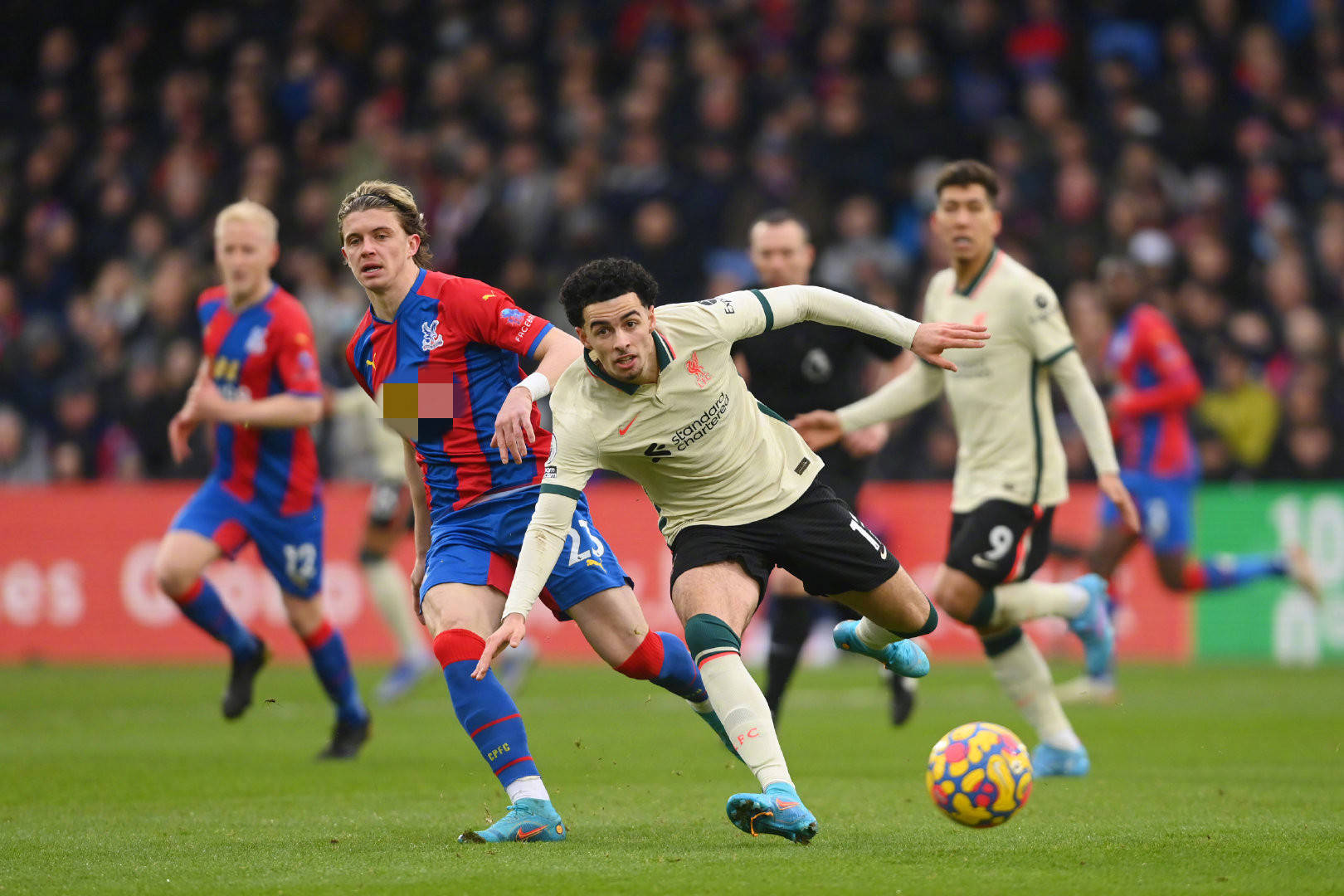 阿德莱德 阿德莱德